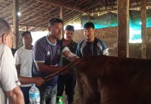 पशुको बाझोपन निवारण सम्बन्धी अभिमुखीकरण कार्यक्रम सम्पन्न